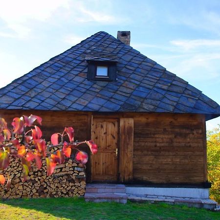Cabin Menka Sirogojno エクステリア 写真